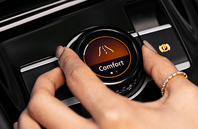 DRIVING PROFILE SELECTOR